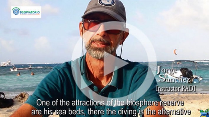 BUCEO SUB-22